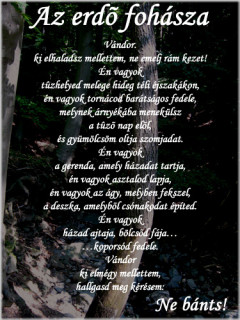 Erdő fohásza