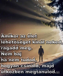 Amikor az élet