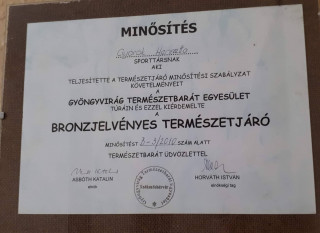 Bronzjelvényes minősítés